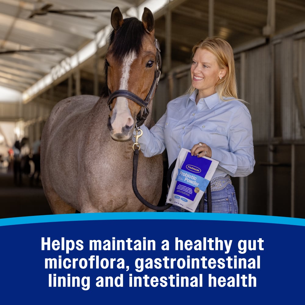 Helps maintain a healthy gut microflora, gastrointestinal lining and intestinal health