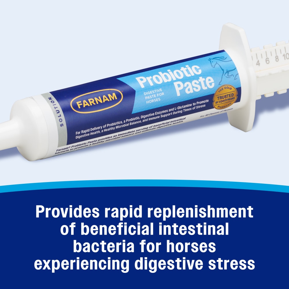 Rapid replenishment of beneficial intestinal bacteria for horses experiencing digestive stress
