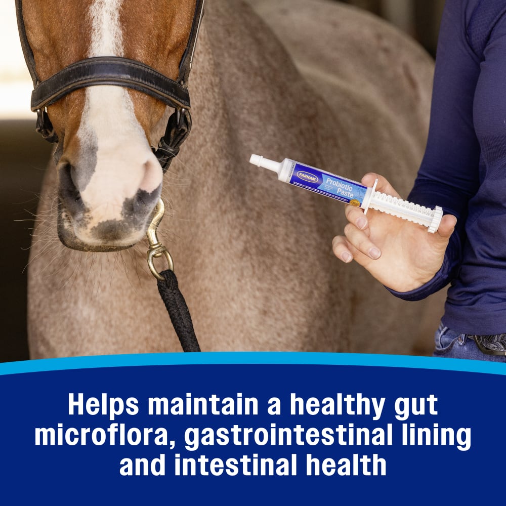 Helps maintain a healthy gut microflora, gastrointestinal lining and intestinal health