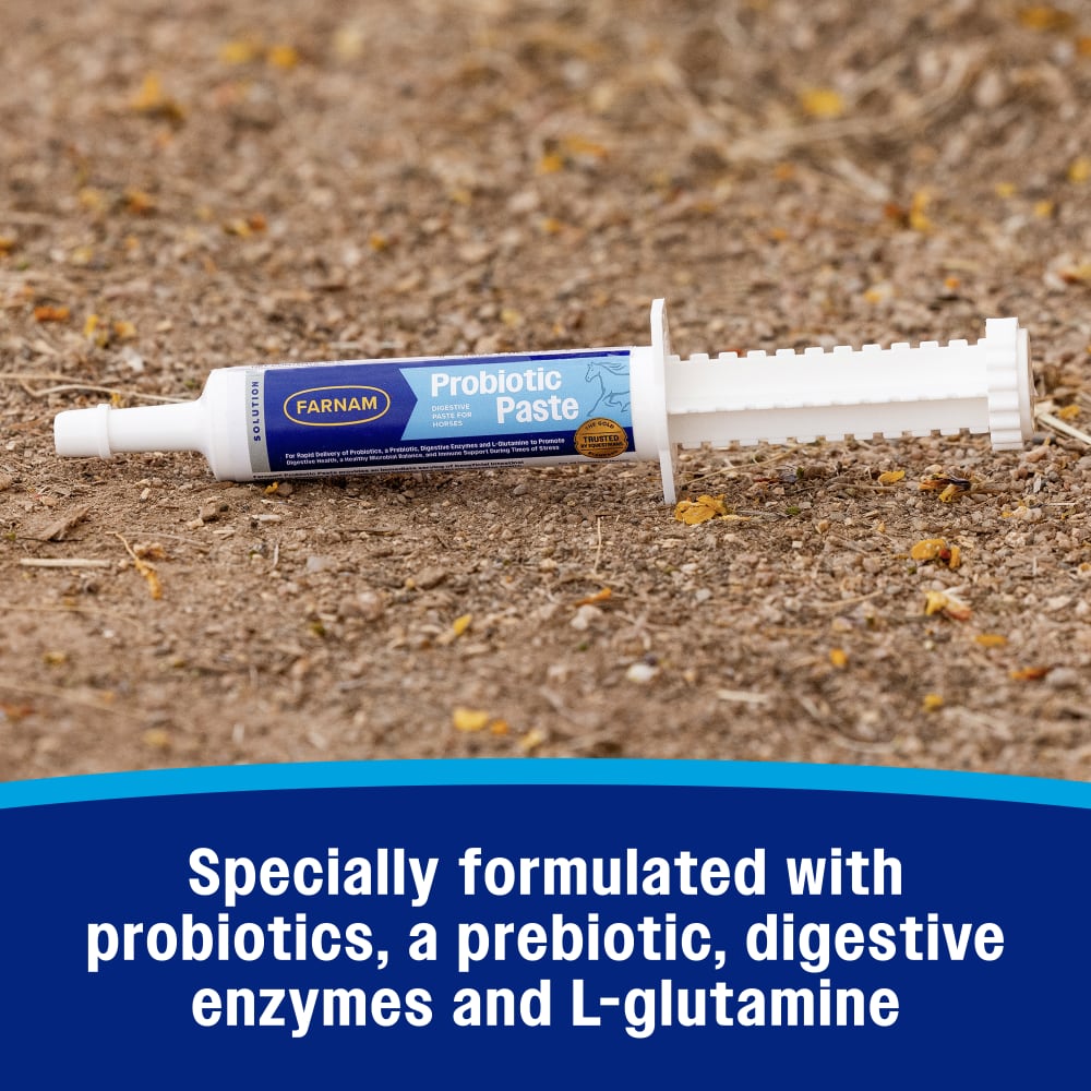 Specially formulated with probiotics, a prebiotic, digestive enzymes and L-glutamine