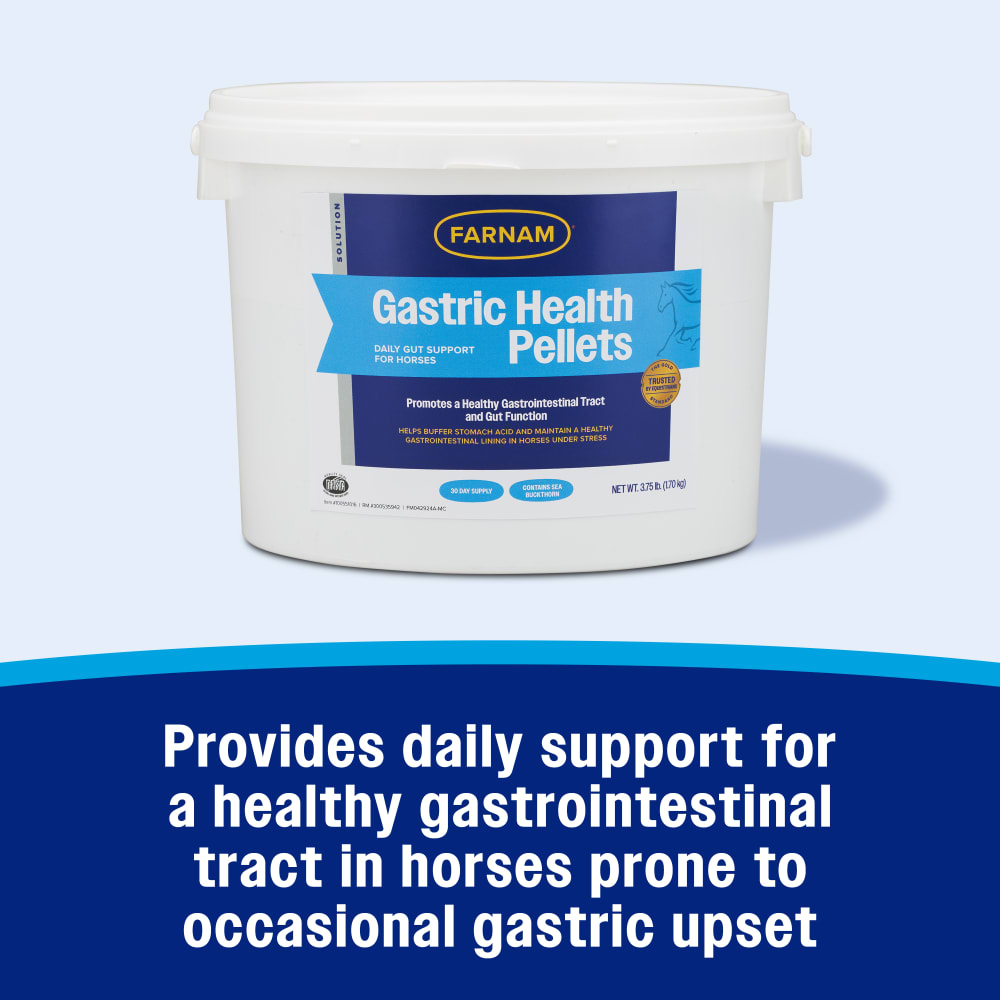 Provides daily support for a healthy gastrointestinal tract in horses prone to gastric upset