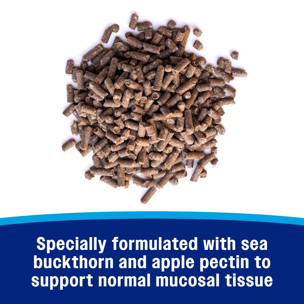 Specially formulated with sea buckthorn and apple pectin to support normal mucosal tissue