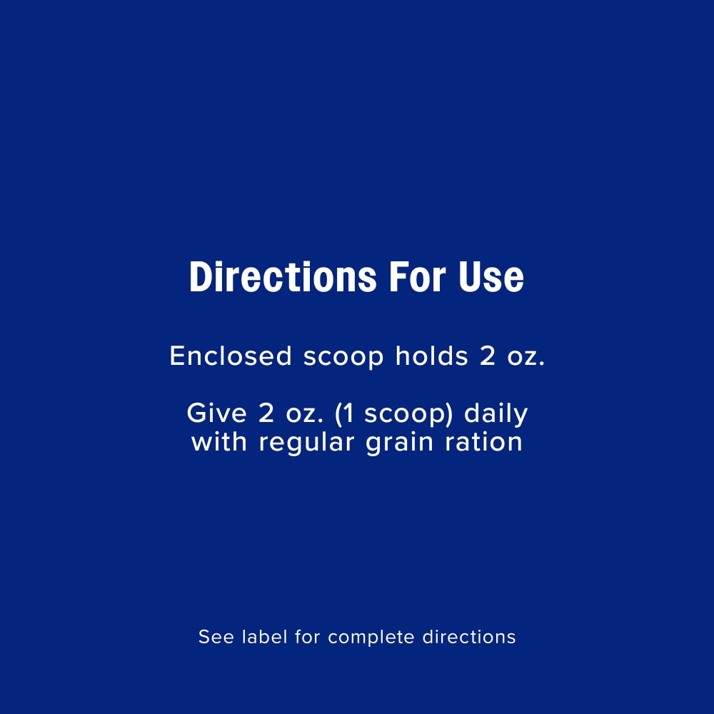 Give 2 ounces or 1 scoop daily with regular grain ration