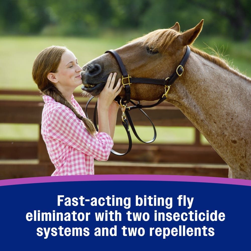 Fast acting biting fly eliminator with two insecticide systems and two repellents
