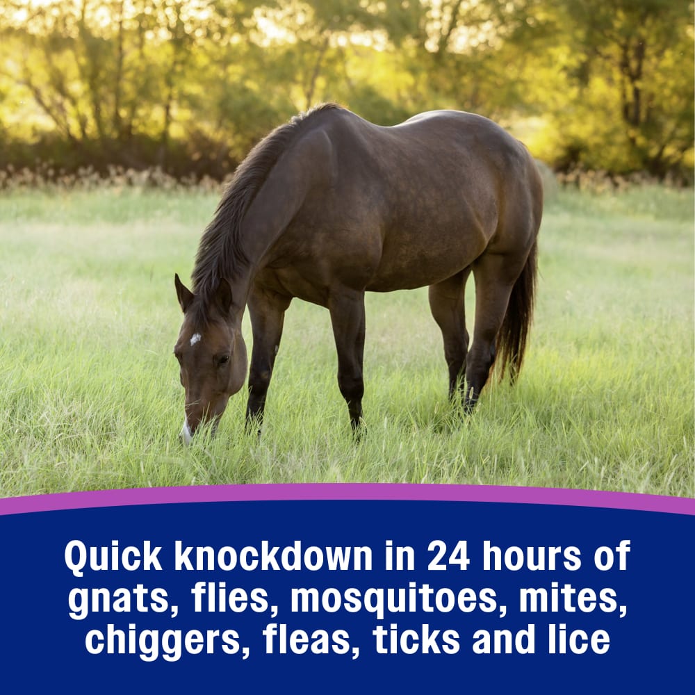 Quick knockdown in 24 hours of gnats flies mosquitoes mites chiggers fleas ticks lice