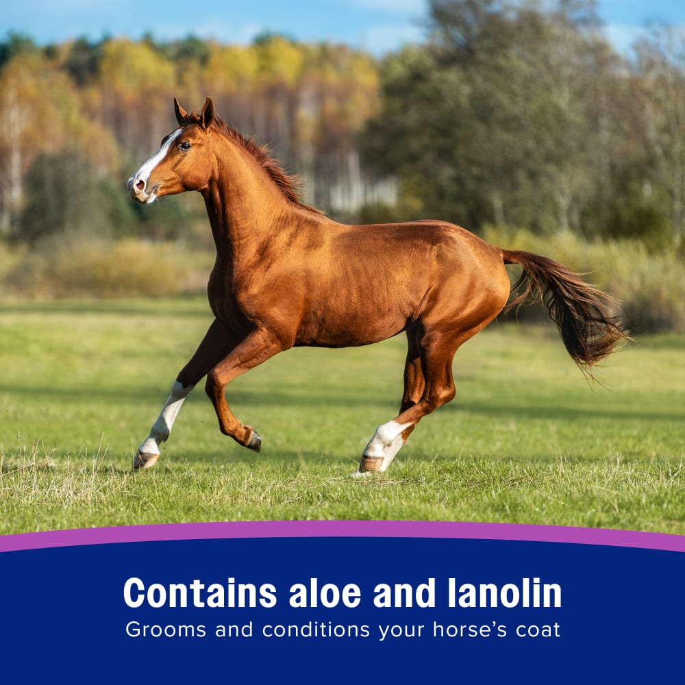 Contains aloe and lanolin grooms and conditions your horse coat