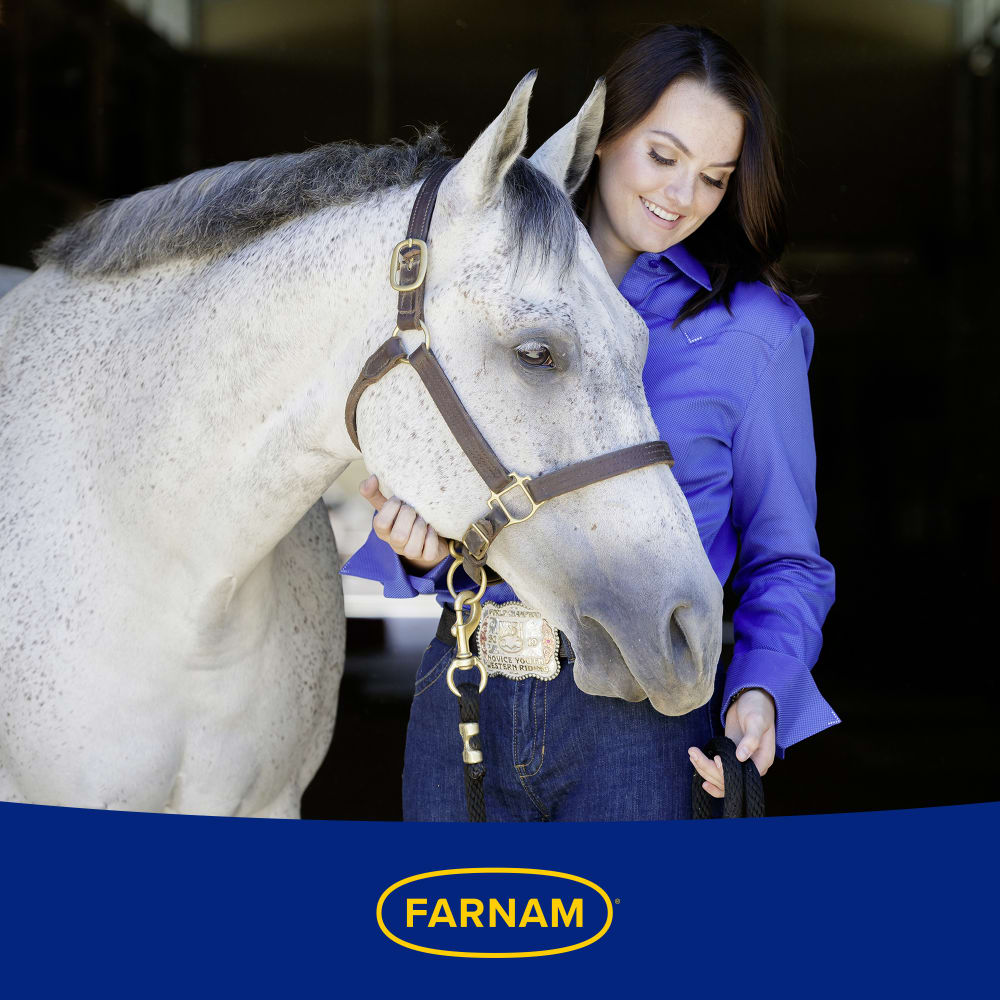 Leather New Easy-Polishing Glycerine Saddle Soap | Farnam