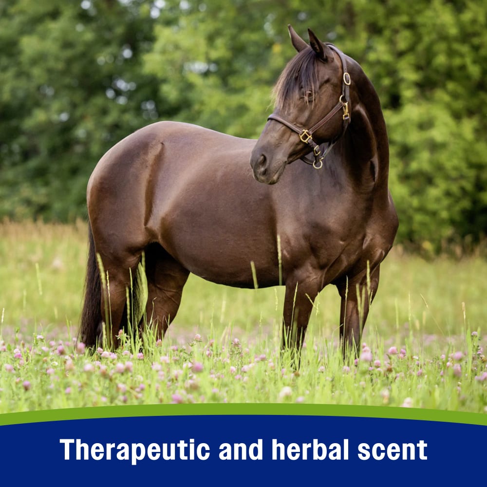 Therapeutic and herbal scent