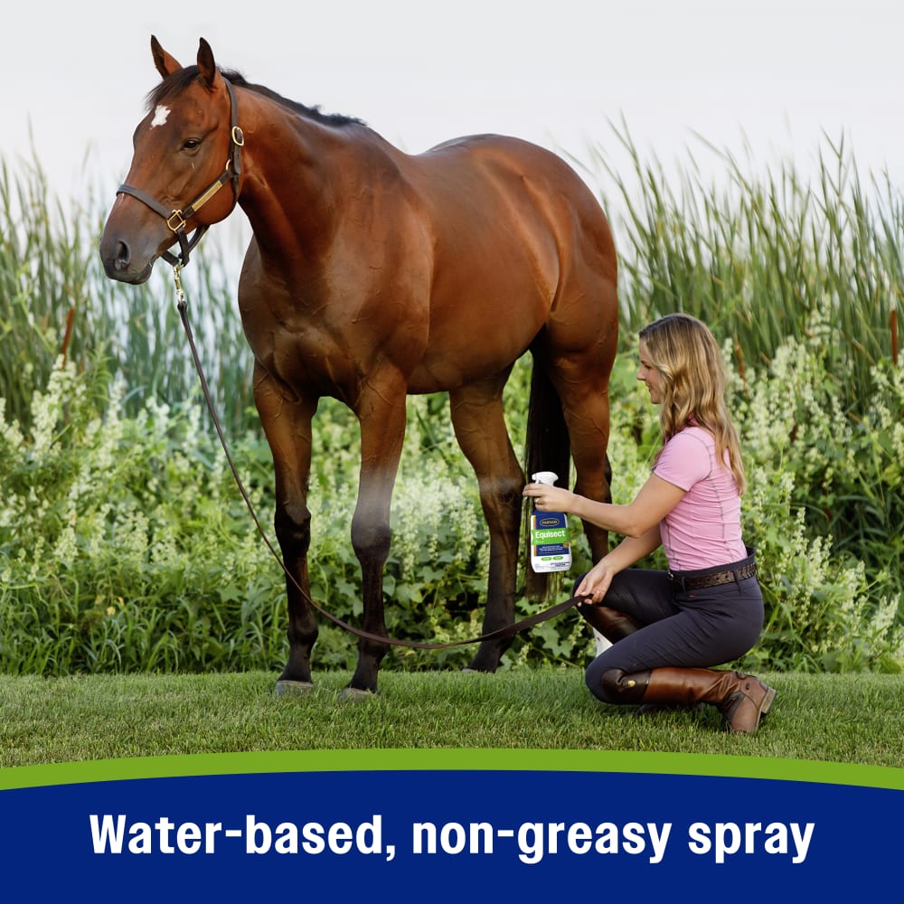 Water based non greasy spray