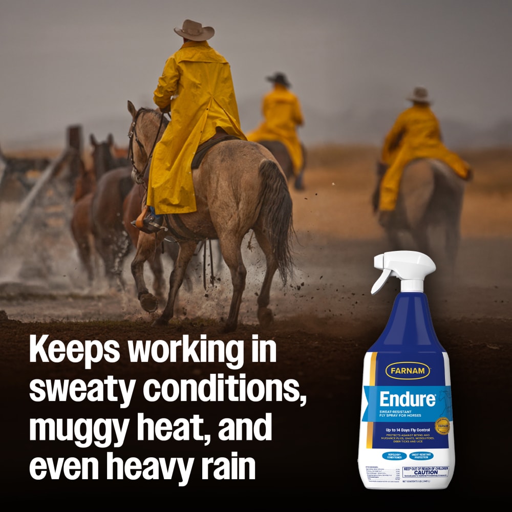 Endure Sweat-Resistant Fly Spray for Horses | Fly & Insect Control