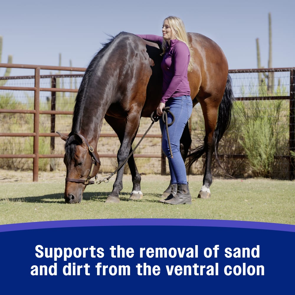 Supports the removal of sand and dirt from the ventral colon