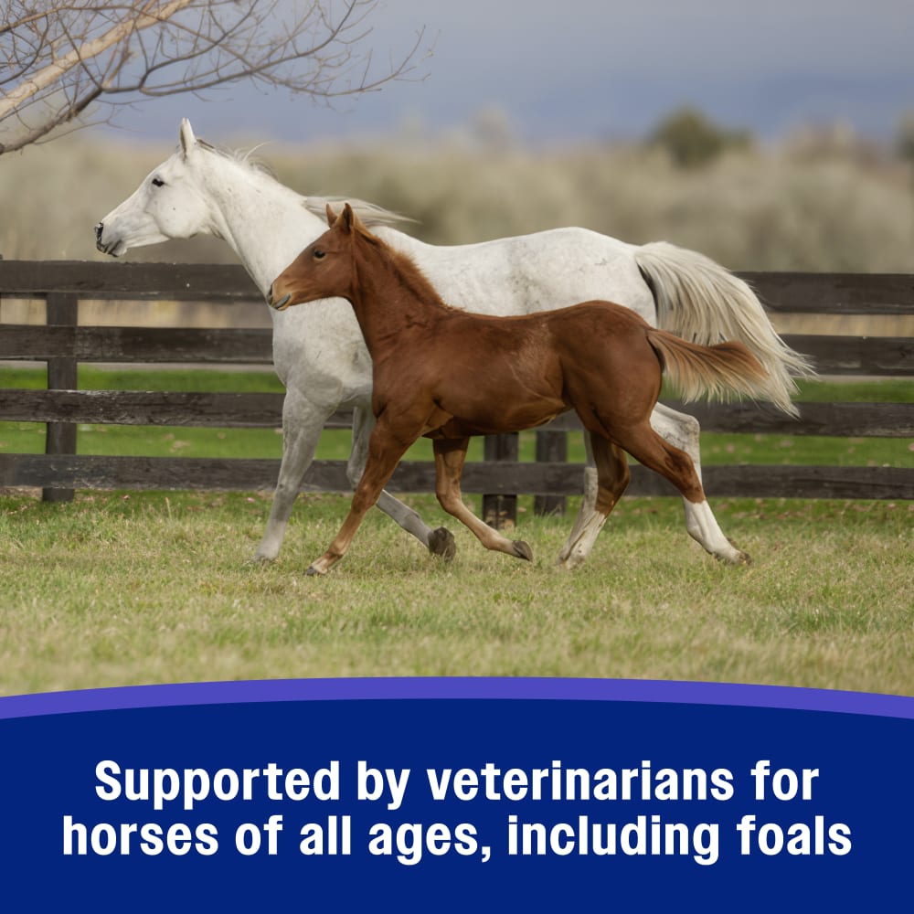 Supported by veterinarians for horses of all ages including foals