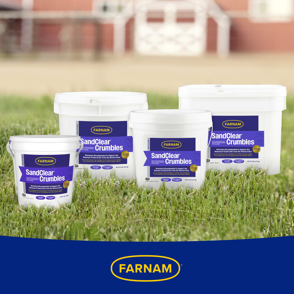 Family shot of sandclear products