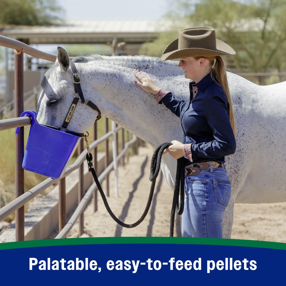 Palatable easy to feed pellets