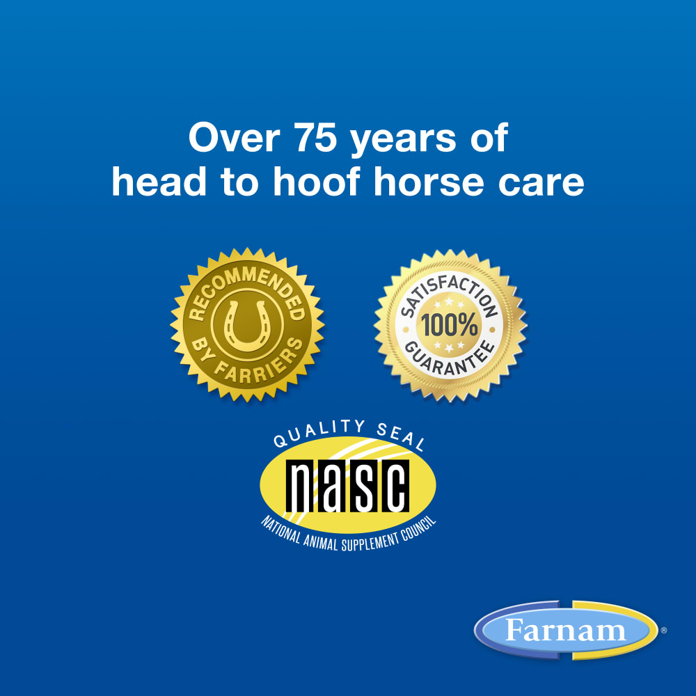 farnam-infographic20seald