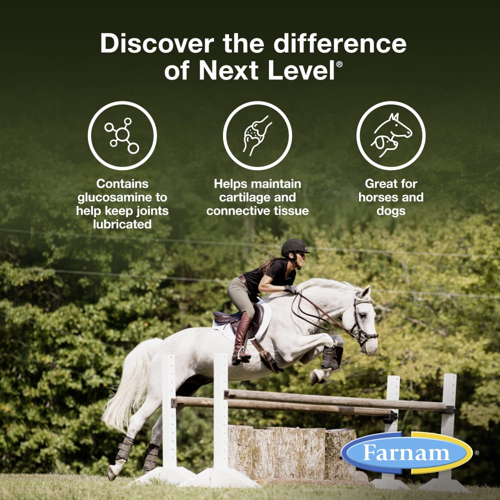 nextlevel-infographic02