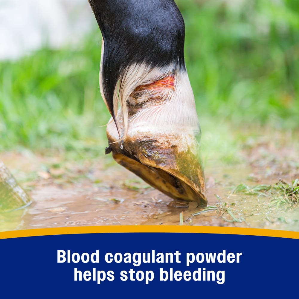 Wonder Dust Wound Powder for Horses | Wound Care | Farnam