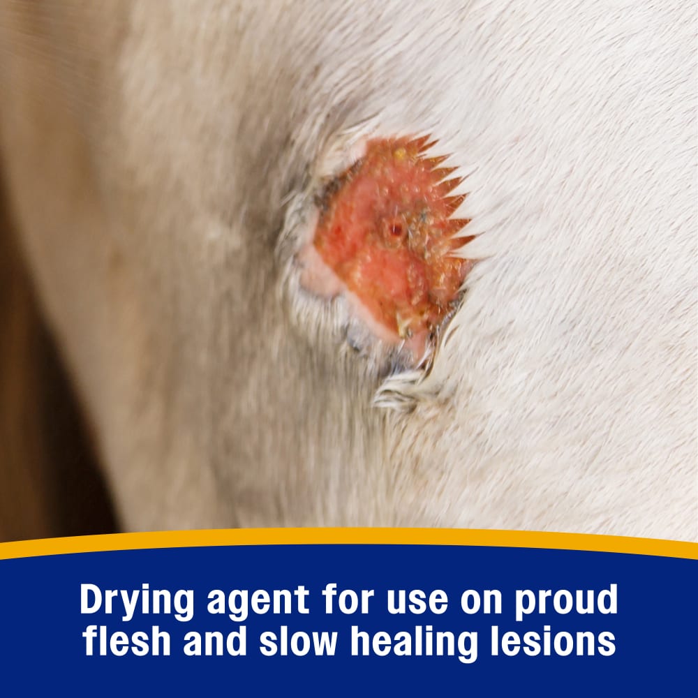 Drying agent for use on proud flesh and slow healing lesions