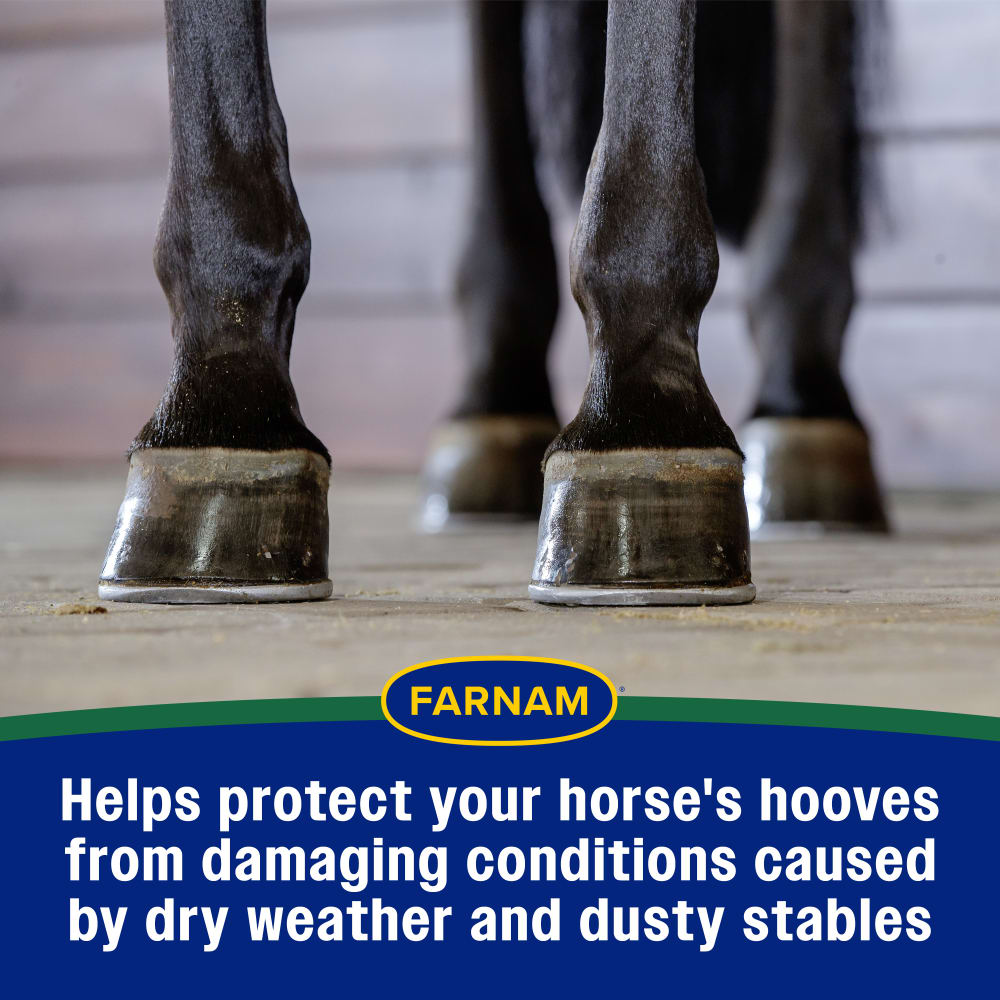 Helps protect your horse's hoves from damaging conditions