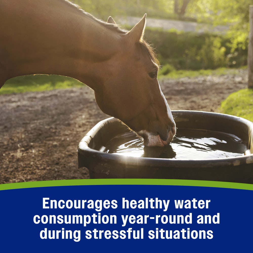 Encourages healthy water consumption year round and during stressful situations