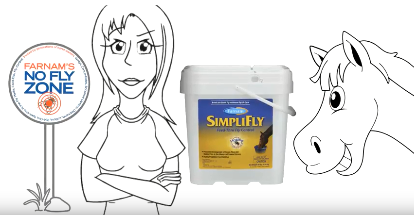 How to use SimpliFly