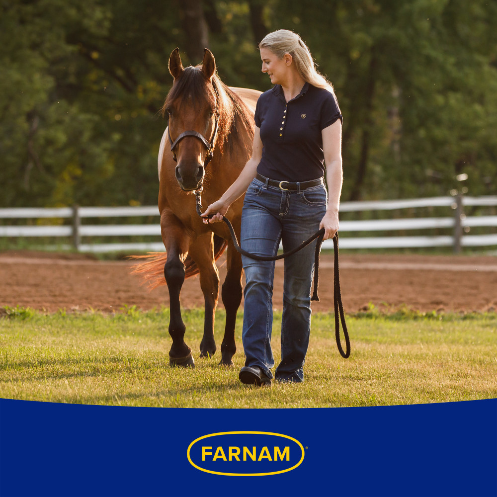 100526865-farnam-supermask-ii-horse-fly-mask-without-ears-average-horse-14