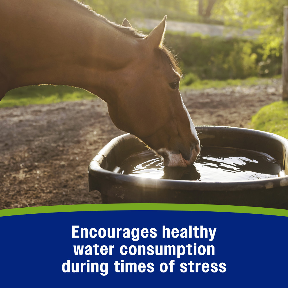 100518854-farnam-apple-elite-electrolyte-60-cc-6