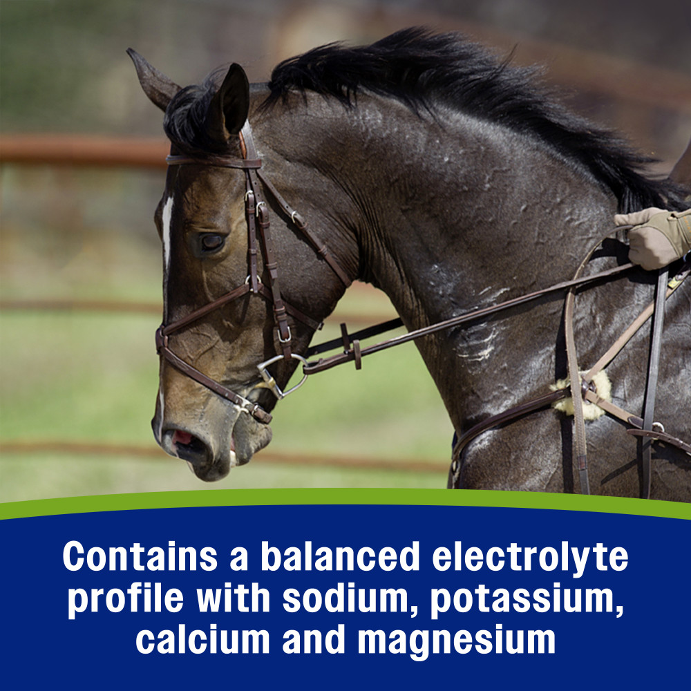 100518854-farnam-apple-elite-electrolyte-60-cc-8