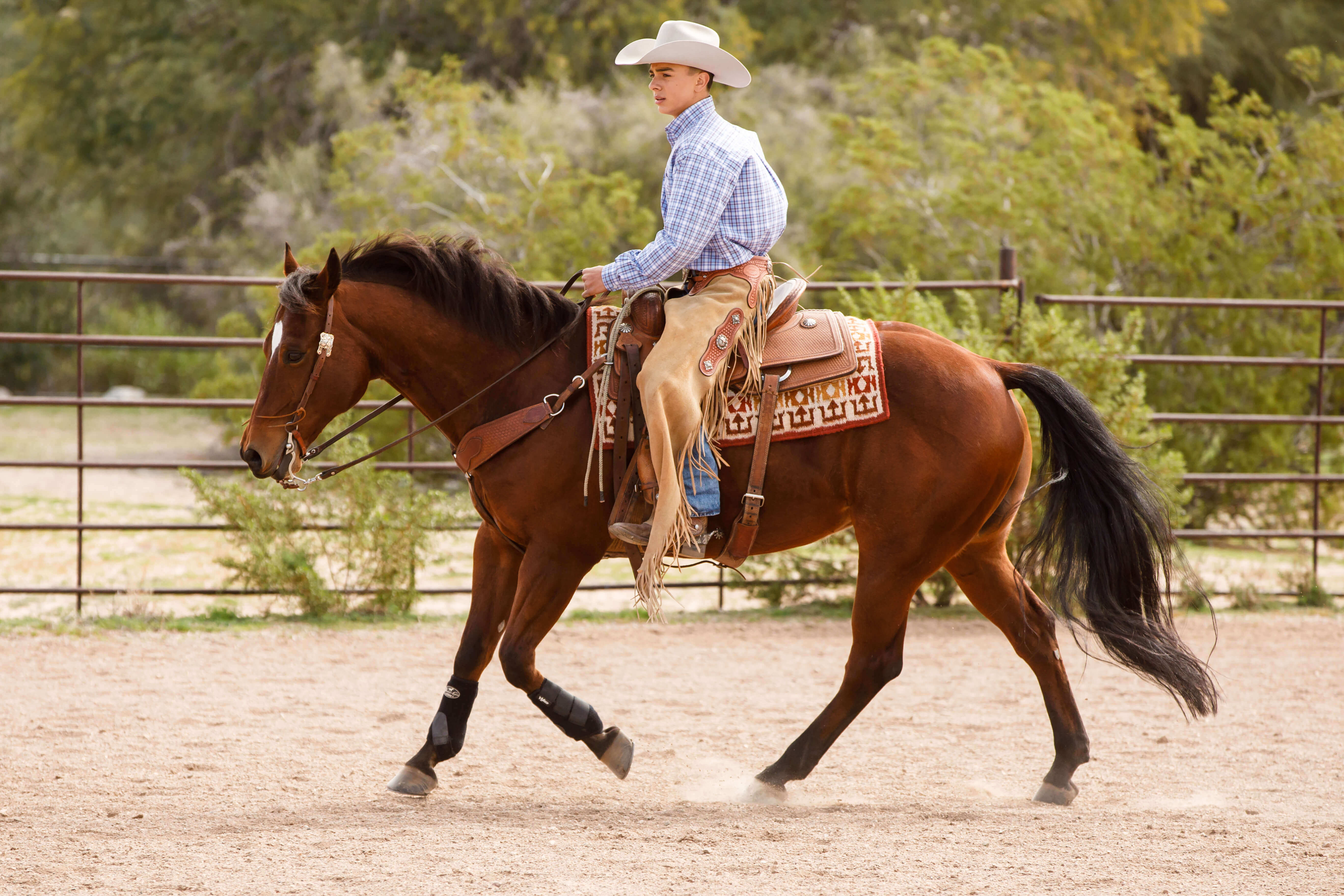Farnam Young Horseman Anthony Luna riding Calvin