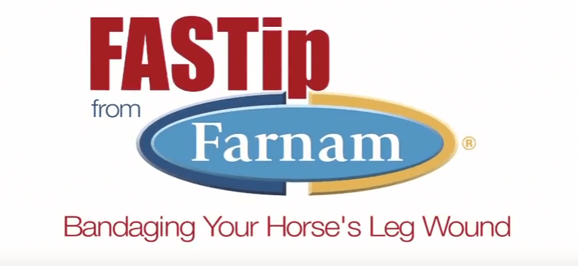 FASTip from Farnam: Bandaging Your Horse's Leg Wound Logo