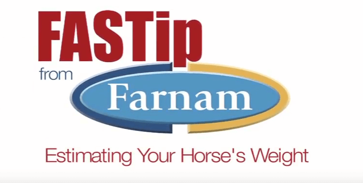 How To Estimate Your Horse s Weight Video Farnam