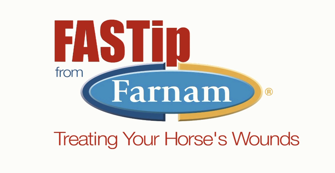FasTip from Farnam - Treating Your Horse's Wounds