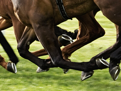 horses running with horseshoes
