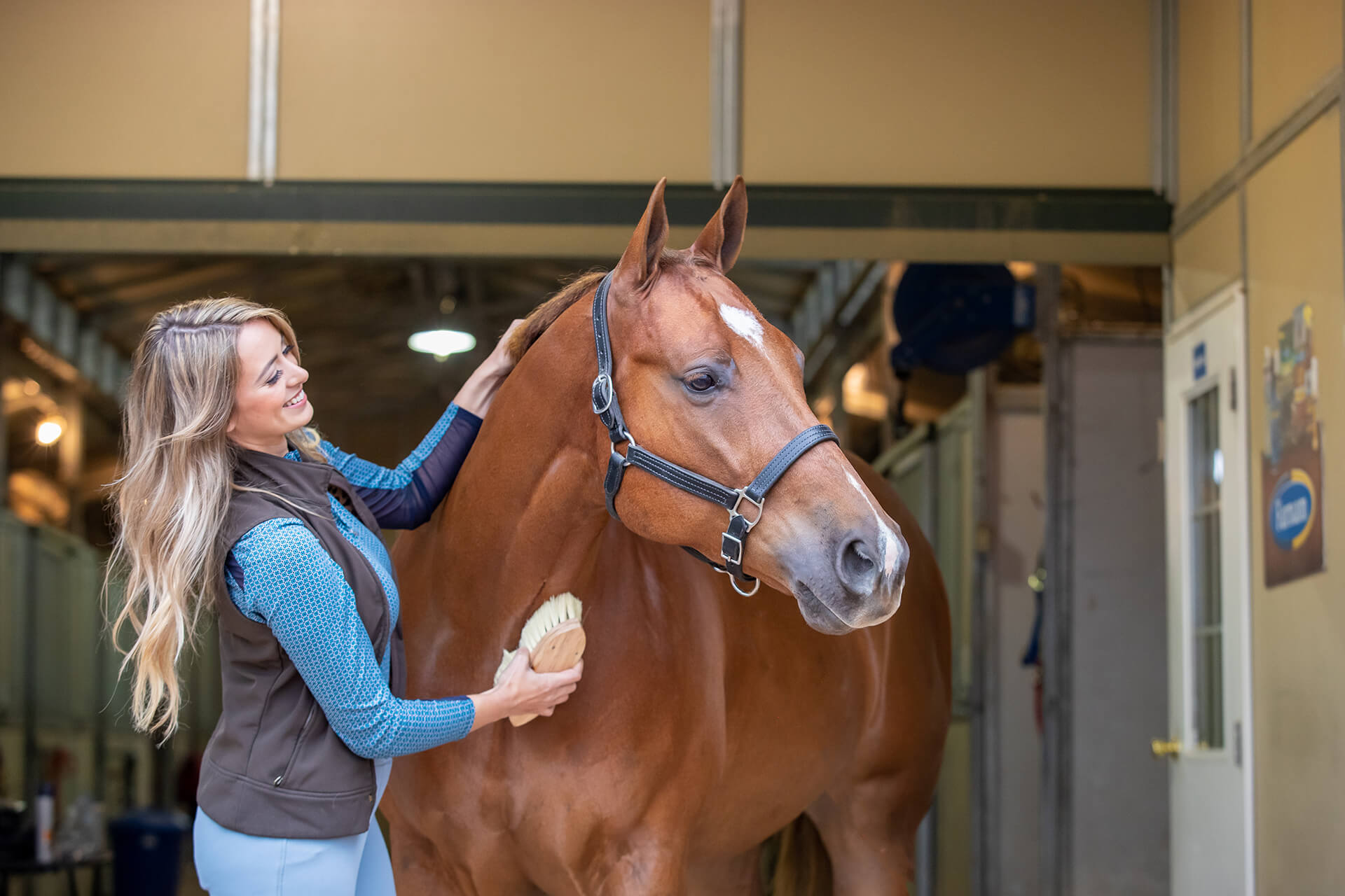 girl grooming horse