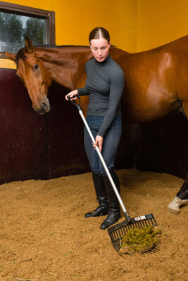 woman mucking a stall