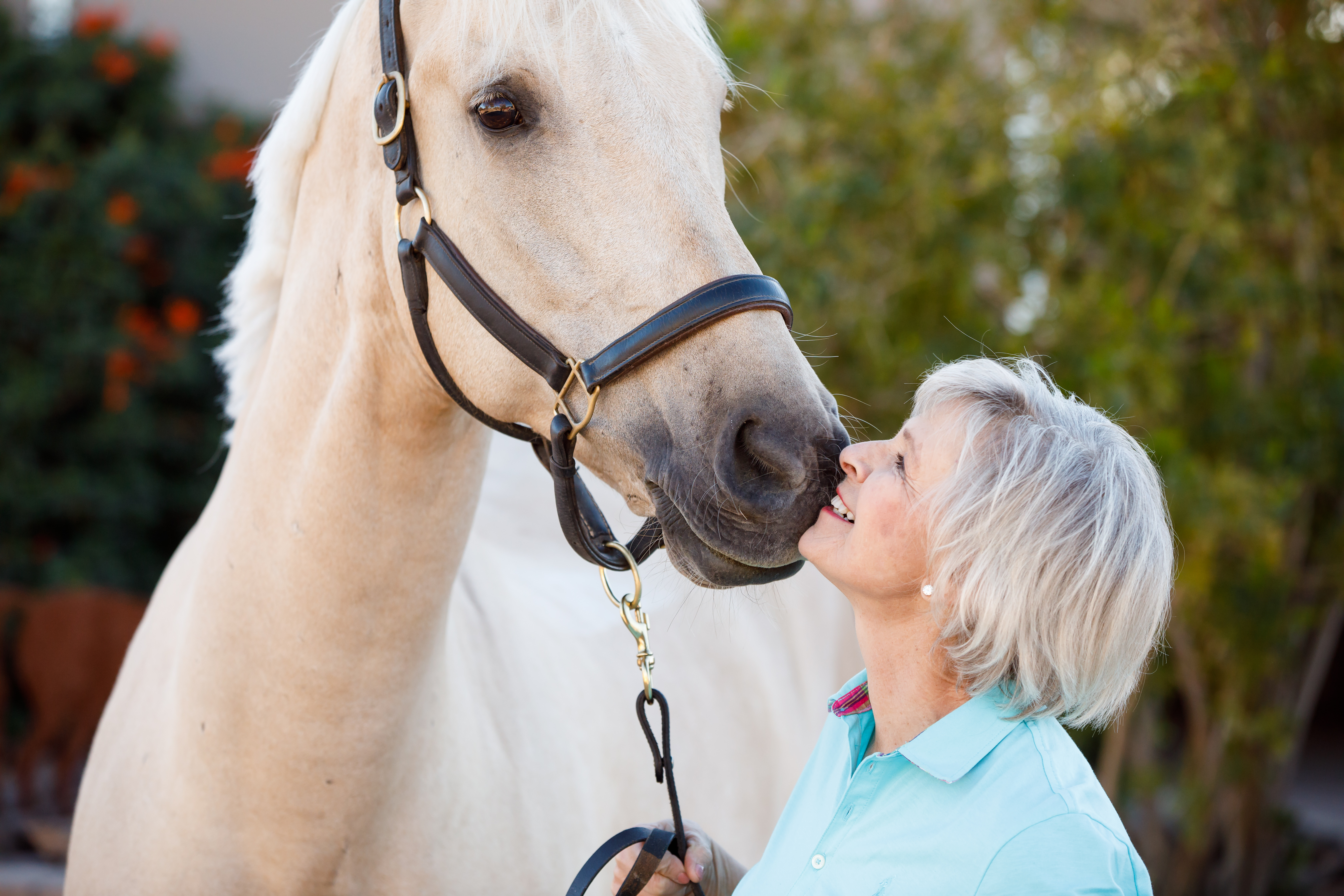 Lady kissing her gray horse Lady kissing her horse