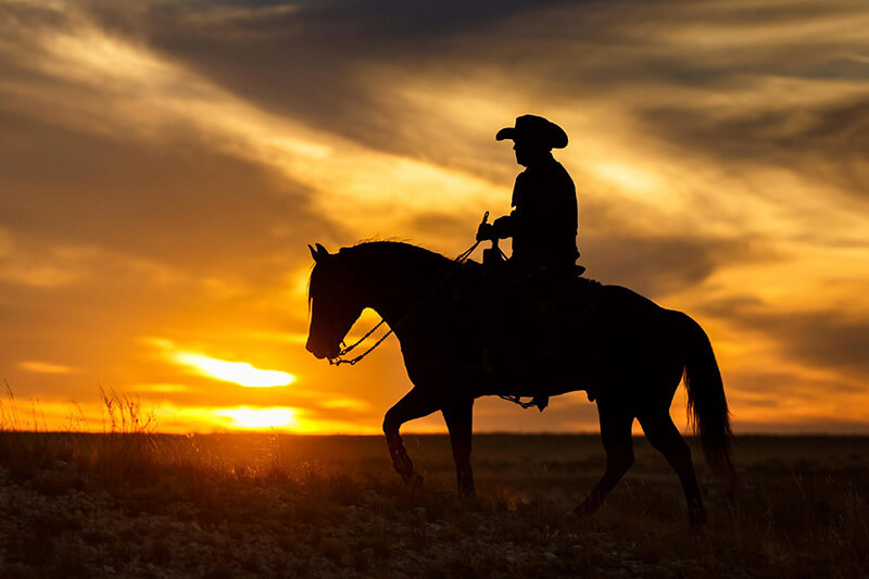 Ranch riding clearance