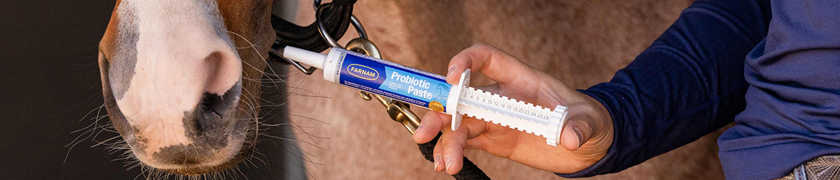 woman putting supplements into horse bucket