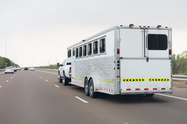 horse trailer on the road