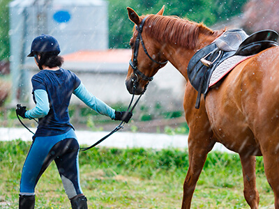 rider leading walking horse through rain