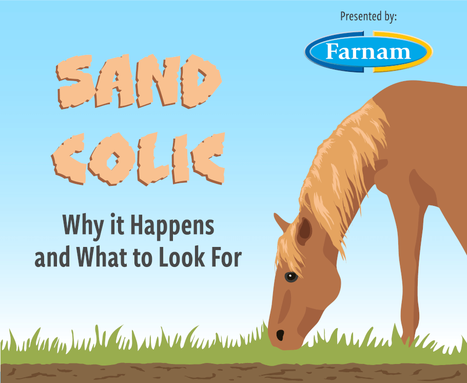 Learn how to protect your horse from sand colic.