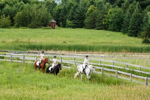horse riding in field
