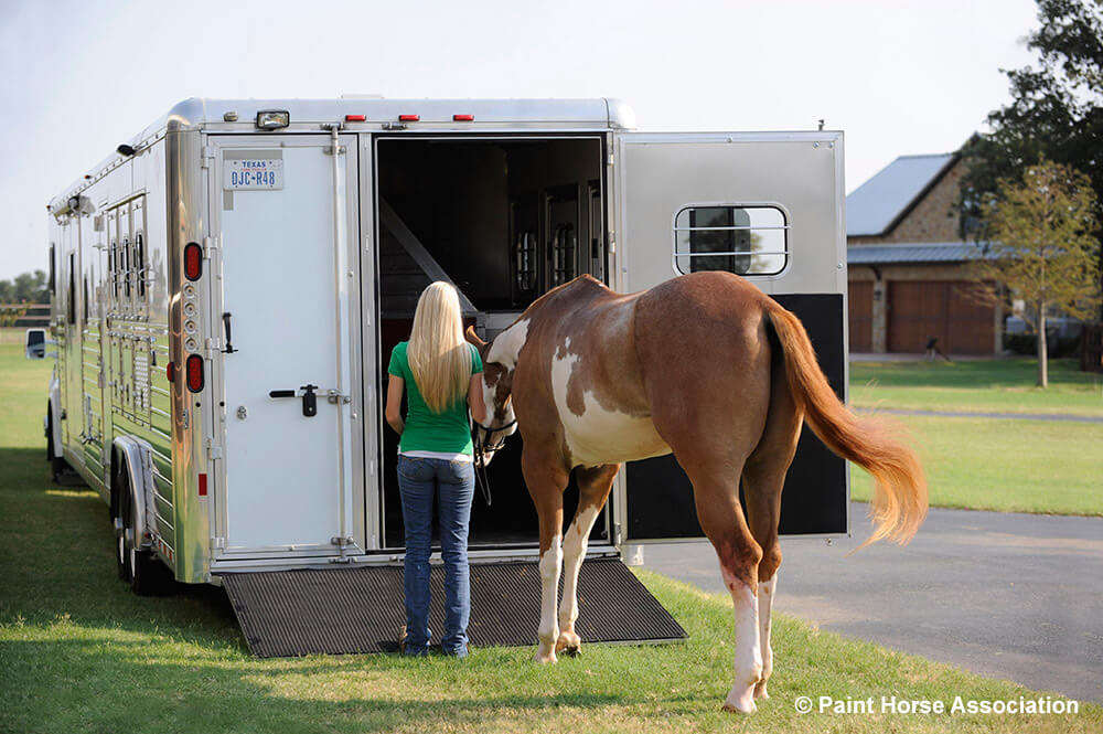Woman loading horse into a trailer