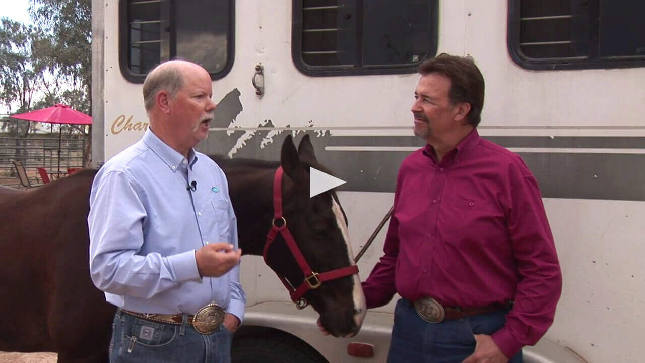 Your Horse's Vital Signs intro image